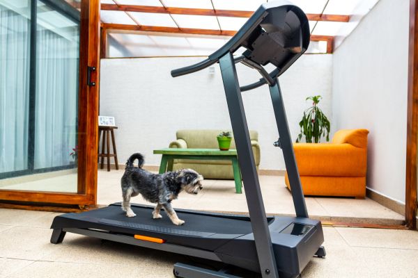 Cost of Treadmill Installation in Post Falls