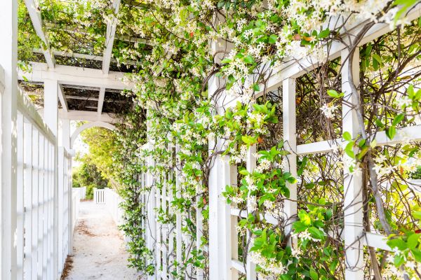 Cost of Trellis Repair in Post Falls