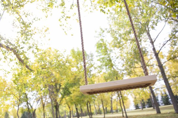 Cost of Tree Swing Installation in Post Falls