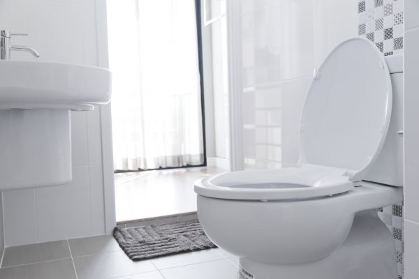 Cost of Toilet Seat Installation in Post Falls