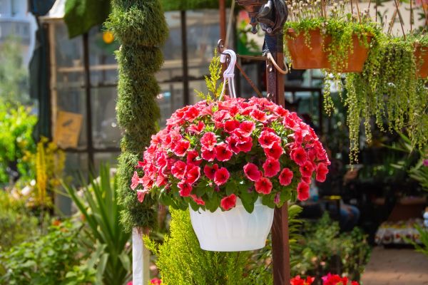 Cost of Hanging Planter Installation in Post Falls