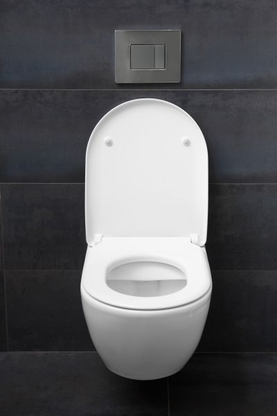 Cost of Toilet Lid Installation in Post Falls