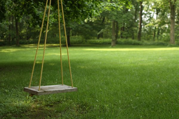 Cost of Rope Swing Installation in Post Falls