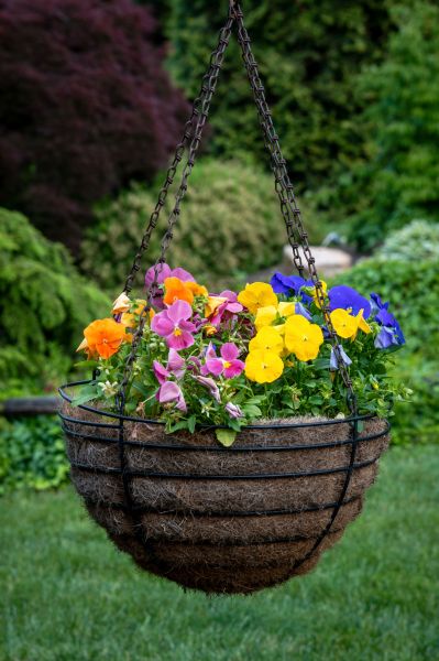 Cost of Hanging Basket Installation in Post Falls