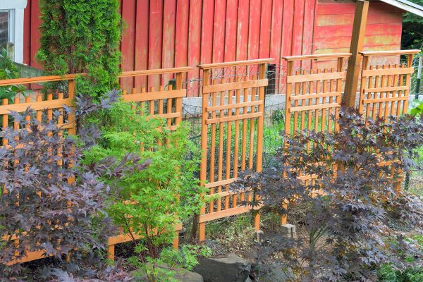 Wood Trellis Mounting in Post Falls