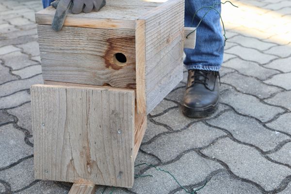 Cost of Birdhouse Mounting in Post Falls