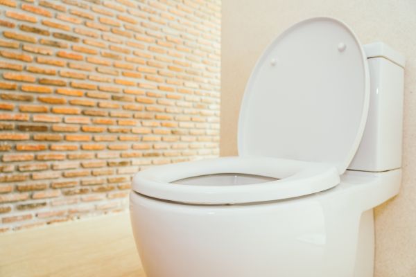 Cost of Toilet Seat Repair in Post Falls